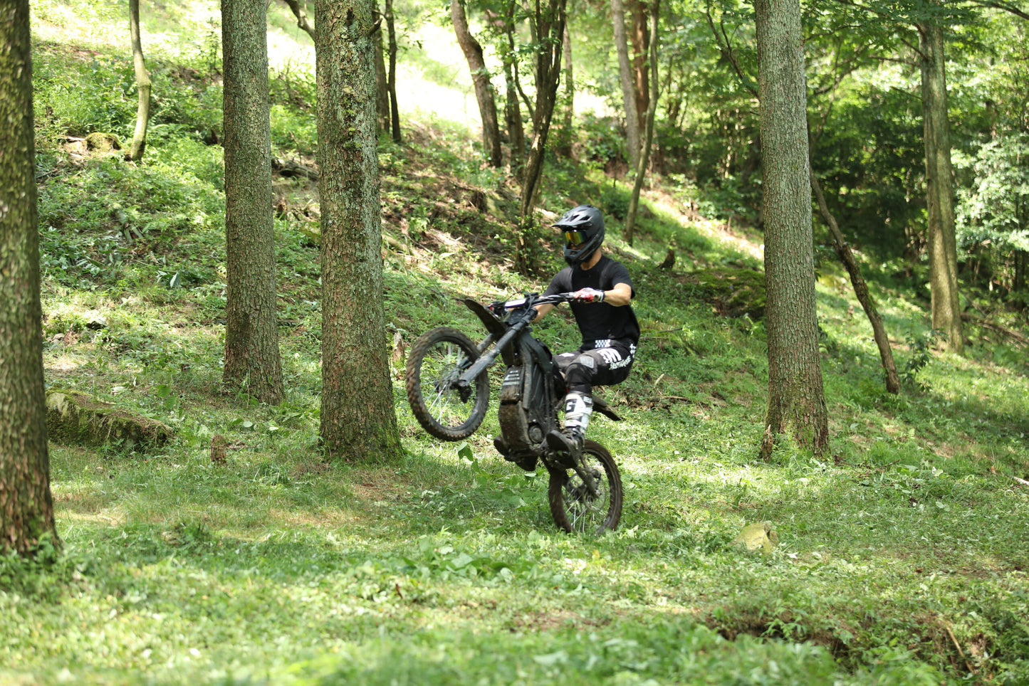 E Ride Pro S (17" or 16") - Electric Dirt Bike