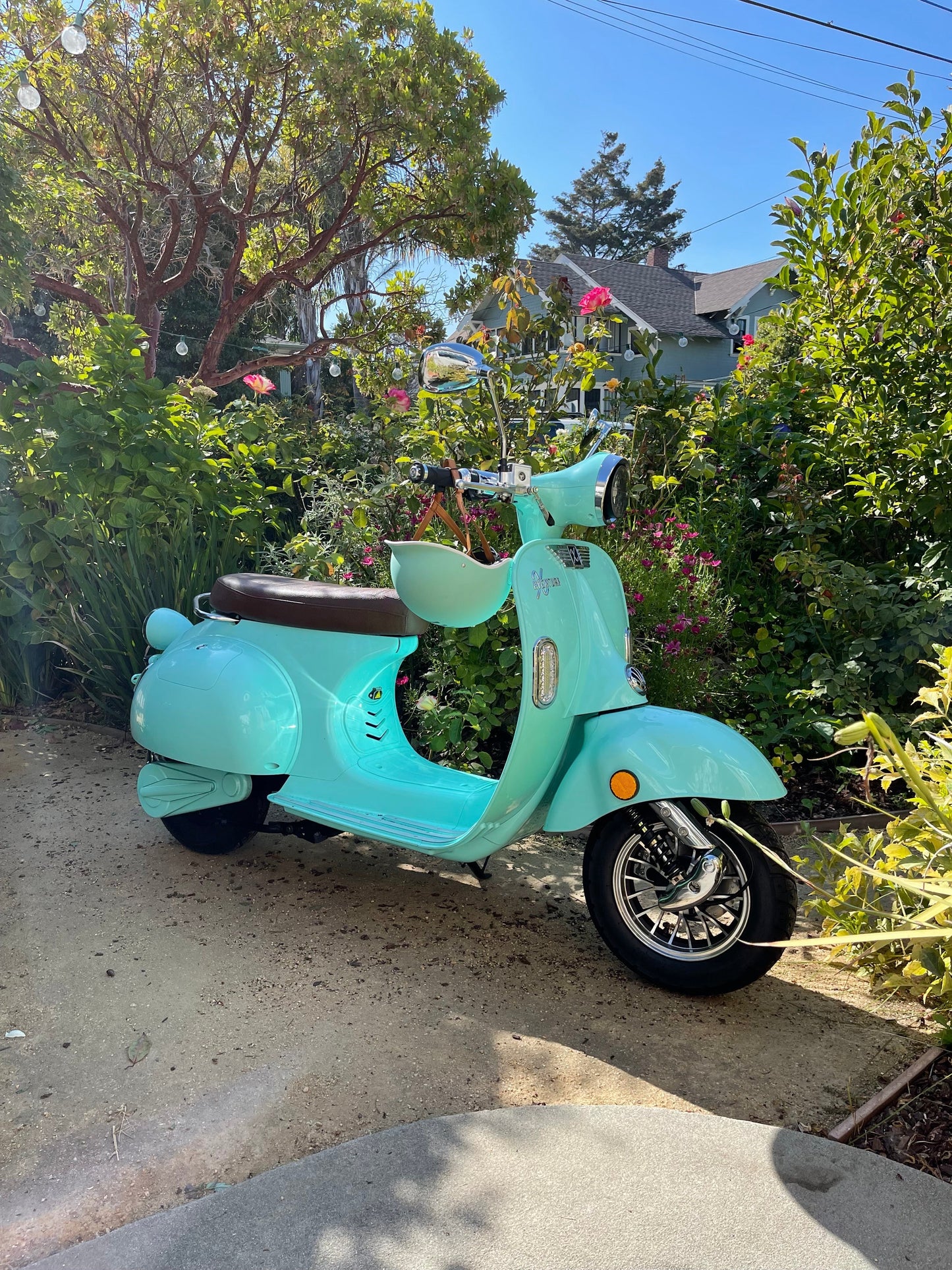 Aventura-X 50MPH Moped, Rent