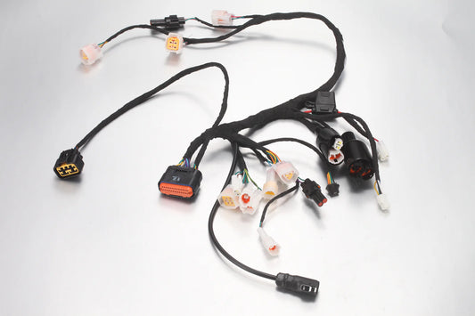 E Ride Pro-E6028 - Main wiring harness(Old Connector) - Mini