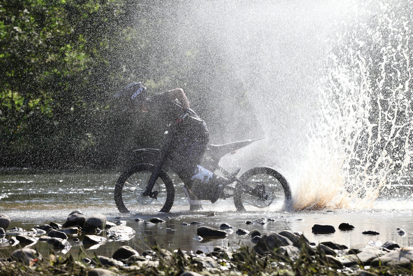 E Ride Pro S (17" or 16") - Electric Dirt Bike