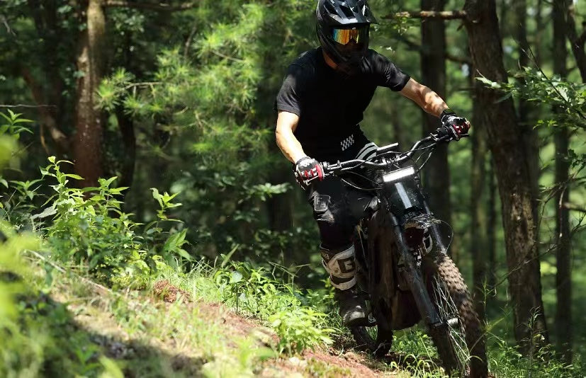 E Ride Pro S (17" or 16") - Electric Dirt Bike