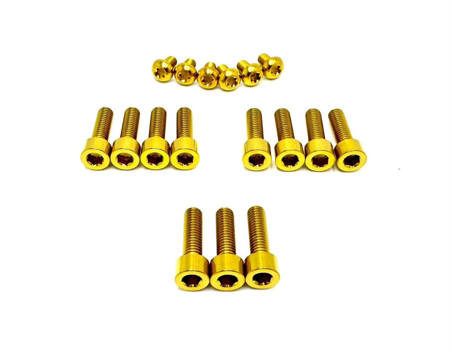 Titanium Bolt Kit for E-Ride Pro SS 3.0 Factory FastAce Fork (ALX32RC)