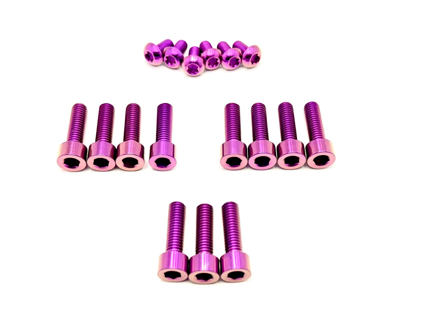 Titanium Bolt Kit for E-Ride Pro SS 3.0 Factory FastAce Fork (ALX32RC)