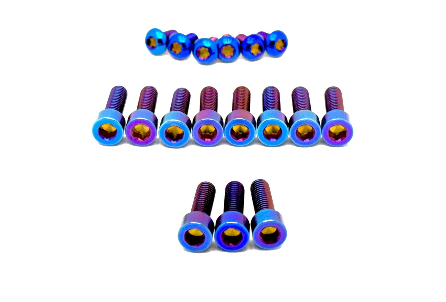 Titanium Bolt Kit for E-Ride Pro SS 3.0 Factory FastAce Fork (ALX32RC)