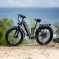 Hiboy EX7