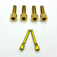 Titanium Caliper Bolt Kit (30mm bolts)