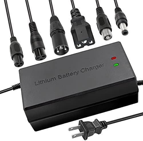 67.2V 5A Battery Charger- Multiple Plugs