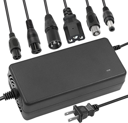54.6V 2A Battery Charger- Multiple Plugs