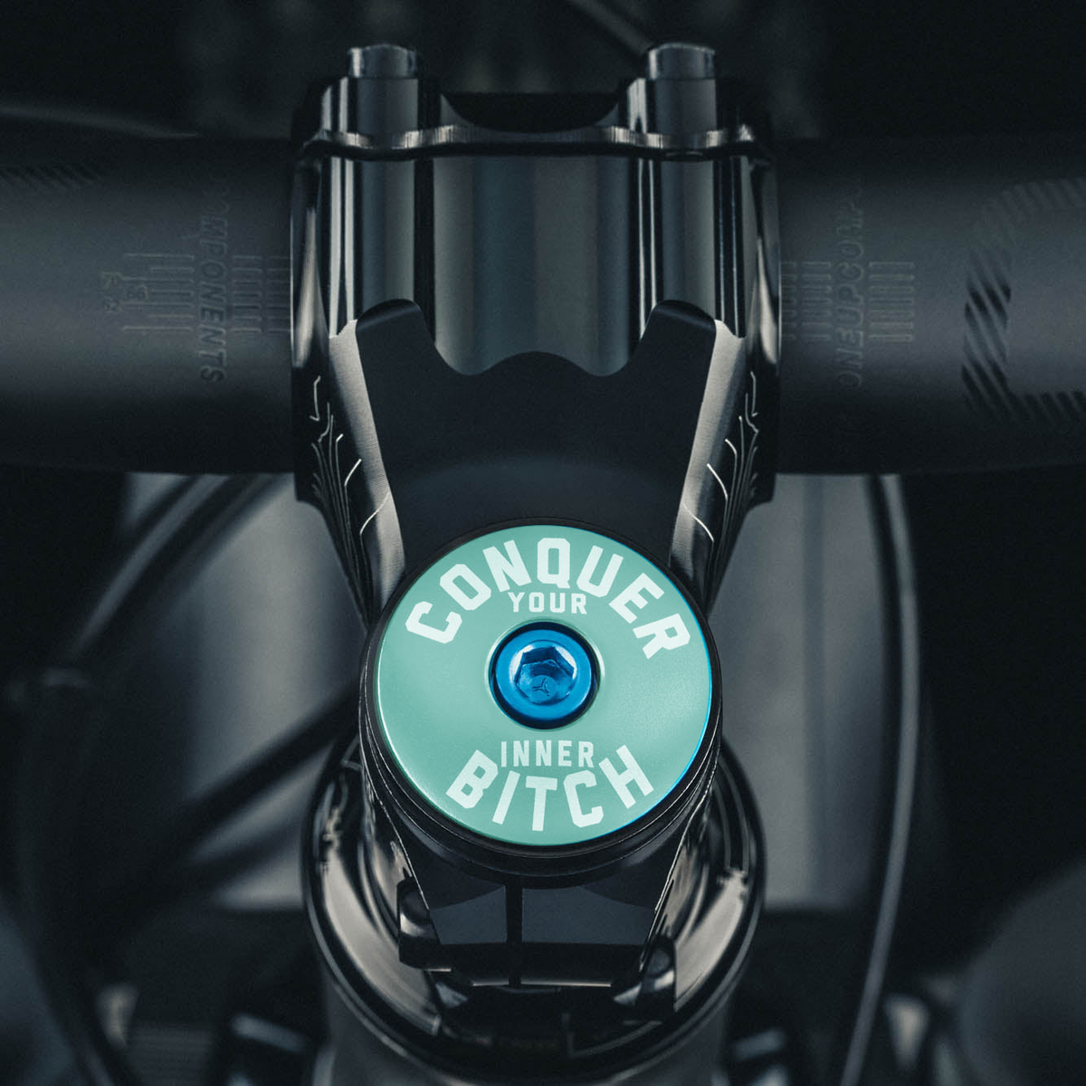 Conquer Your Inner Bitch Custom Bicycle Headset Cap