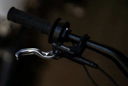 Prickly Motorsports Brake Lever - ERide / MX4 - Individual