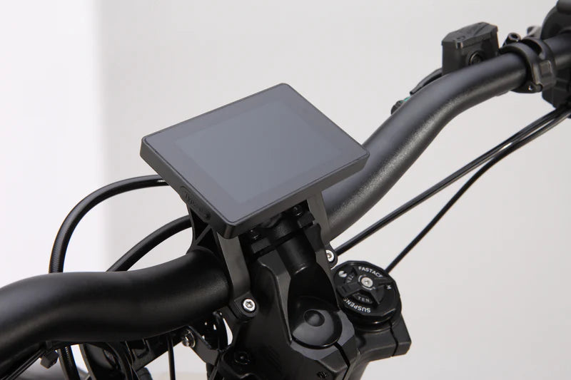 E Ride Pro- Display- PRO S/SS2.0/3.0/SR