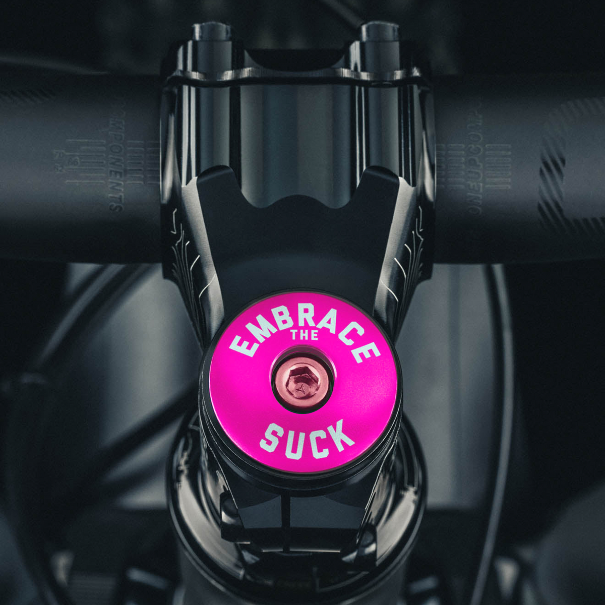 Embrace The Suck - Bicycle Headset Cap