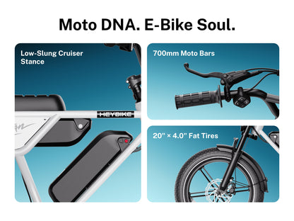 Heybike Titan