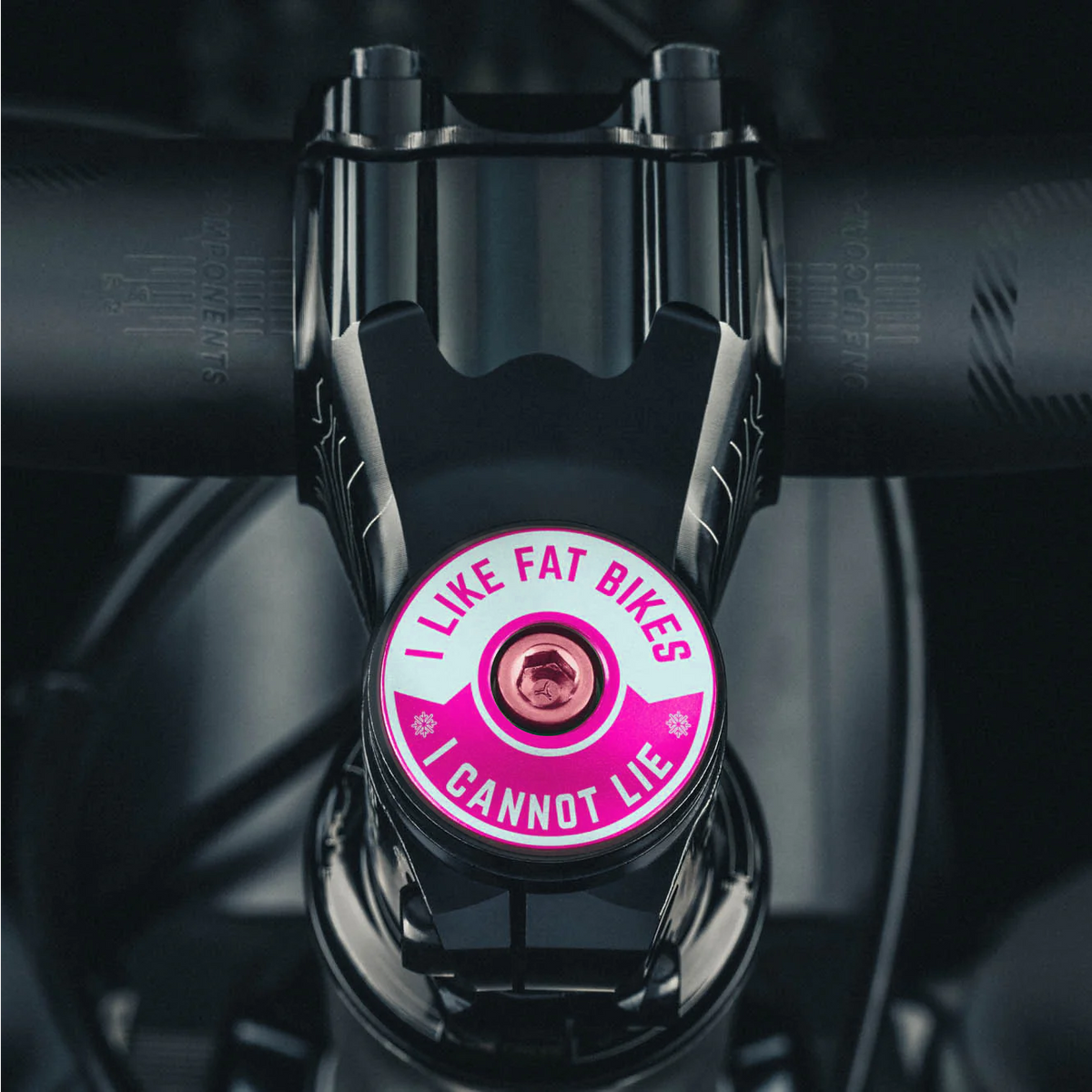 I Like Fat Bikes & I Cannot Lie Bicycle Headset Cap