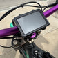 TB E-Ride Pro Display Protector and Mount