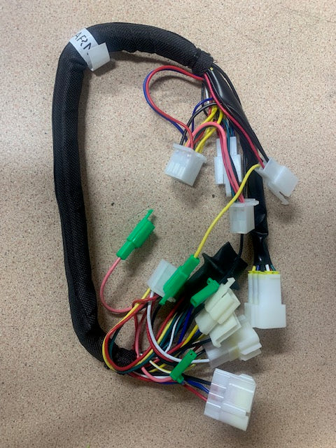 ONYX RCR main harness