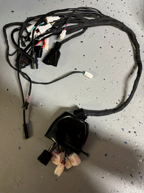 main wiring harness 2.0 S/SS