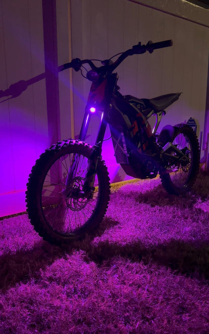 Hyperglow- Surron Light Bee Rear Only