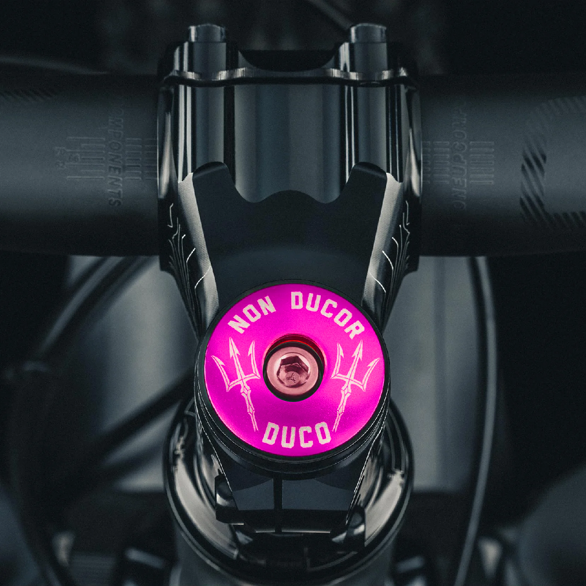 Non Ducor, Duco Custom Bicycle Headset Cap