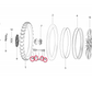 Bearing Kit | Rear Wheel | Talaria MX5