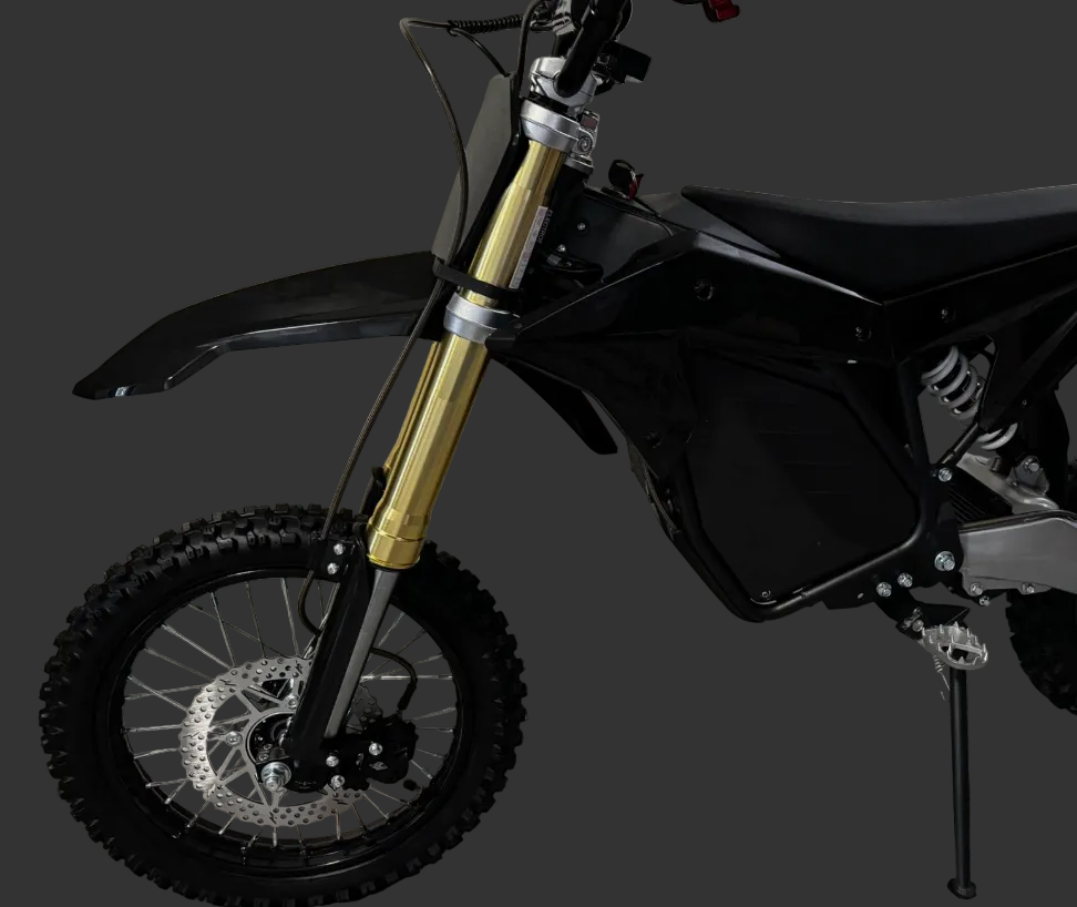 ETM RTR 2025 GOLD FRONT FORK SET (PAIR)