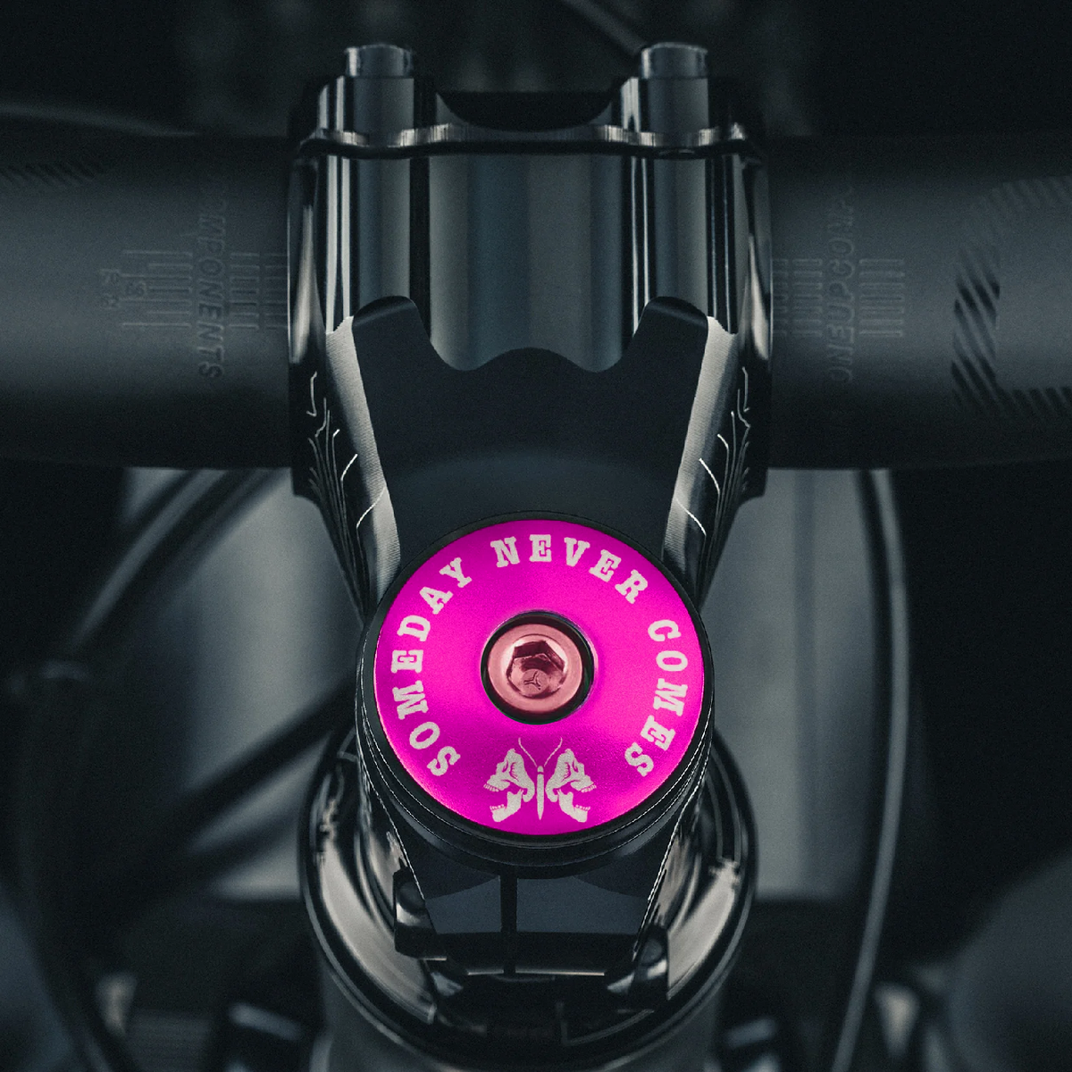 Someday Never Comes Custom Bicycle Headset Cap