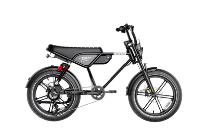 Heybike Titan