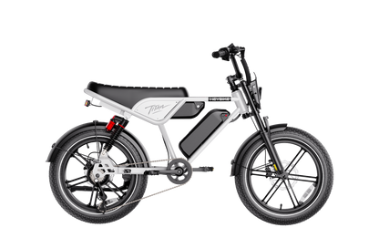 Heybike Titan
