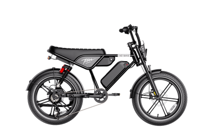 Heybike Titan