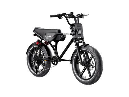 Heybike Titan