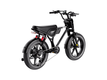 Heybike Titan