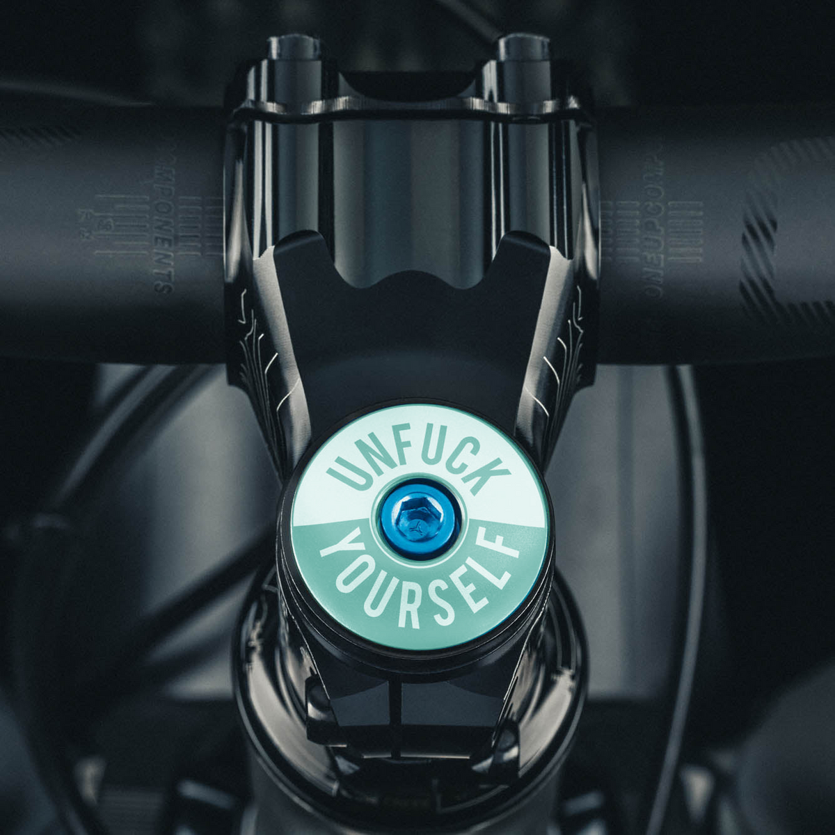 Unfuck Yourself Bicycle Headset Cap