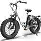 Hiboy EX6 Step-thru Fat Tire Electric Bike, Own