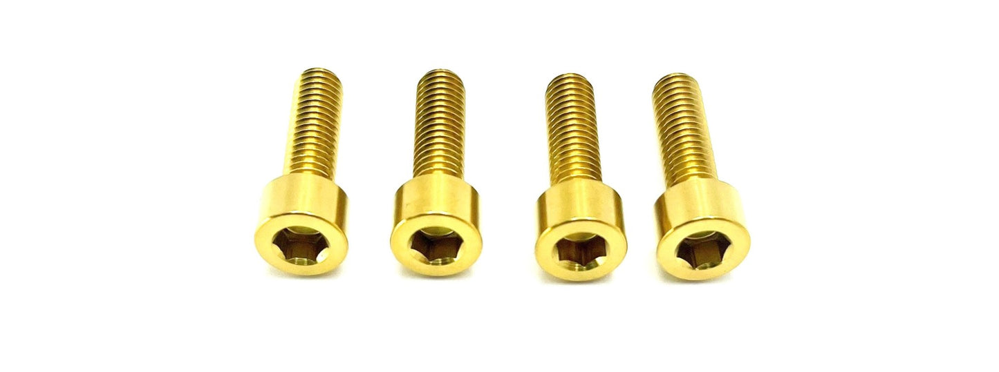 Titanium Axle Pinch Bolts for FastAce 2.0 and E-Ride Pro Forks