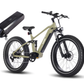 HAOQI Cheetah Full Suspension Electric Bike