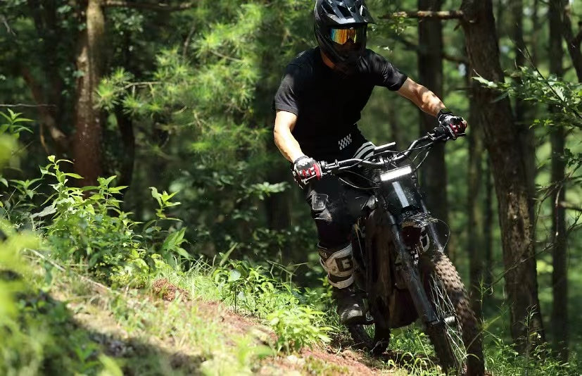 2024 E Ride Pro S (17") - Electric Dirt Bike