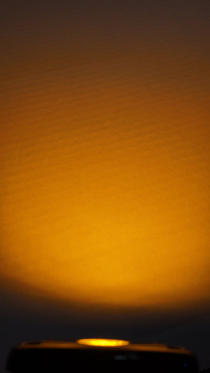 Hyperglow- Surron Light Bee Rear Only