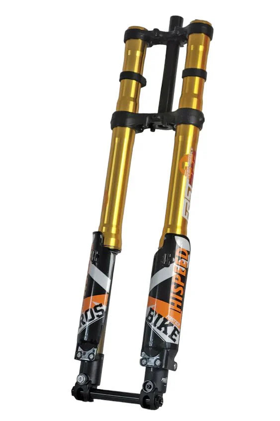 ALX13RC (2.0) FastAce Fork for E-Moto