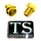 Titanium FastAce Fork Axle Bolts. ALX13RC (2.0) and AXH12RV (3.0)