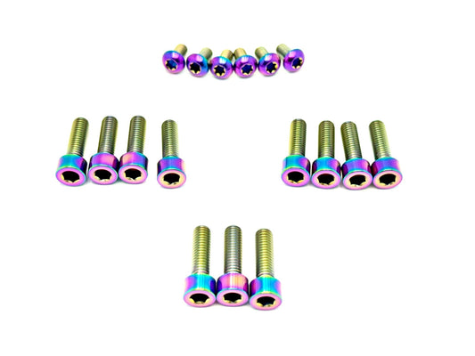 Titanium Bolt Kit for E-Ride Pro SS 3.0 Factory FastAce Fork (ALX32RC)