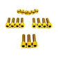 Titanium Bolt Kit for E-Ride Pro SS 3.0 Factory FastAce Fork (ALX32RC)