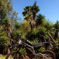 Stage2, M2 72V Electric Dirt Bike