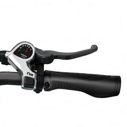Hiboy EX9 Urban Commuter Electric Bike
