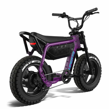 SUPER73-M1D SE