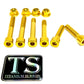 Rear Suspension/ Linkage Bolt Kit for Surron LBX & Segway X260