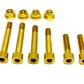 Rear Suspension/ Linkage Bolt Kit for Surron LBX & Segway X260