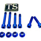 Rear Suspension/ Linkage Bolt Kit for Surron LBX & Segway X260