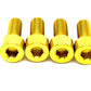 Talaria XXX Subframe or Controller Mount Bolts (Set of 4)