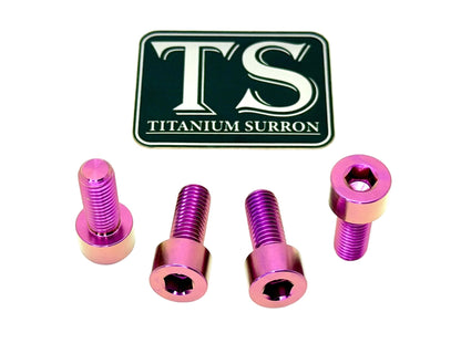 Titanium Surron Skid Plate / Bash Guard Bolt Kit