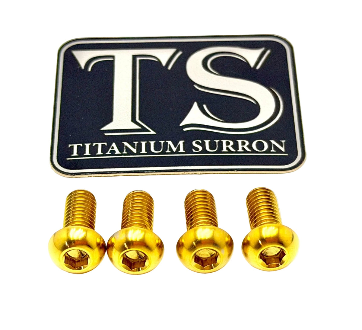 Titanium Surron Skid Plate / Bash Guard Bolt Kit